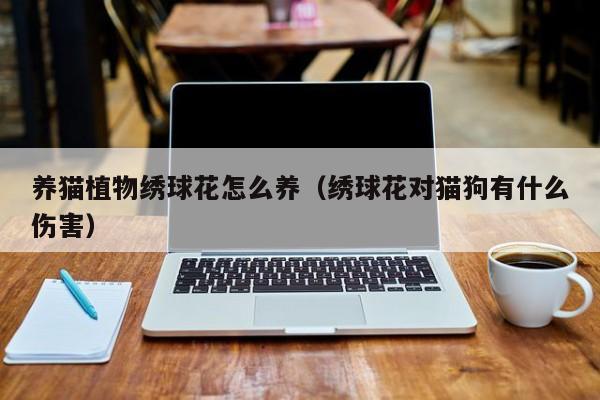 养猫植物绣球花怎么养（绣球花对猫狗有什么伤害）