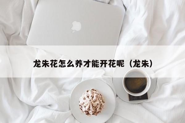 龙朱花怎么养才能开花呢（龙朱）