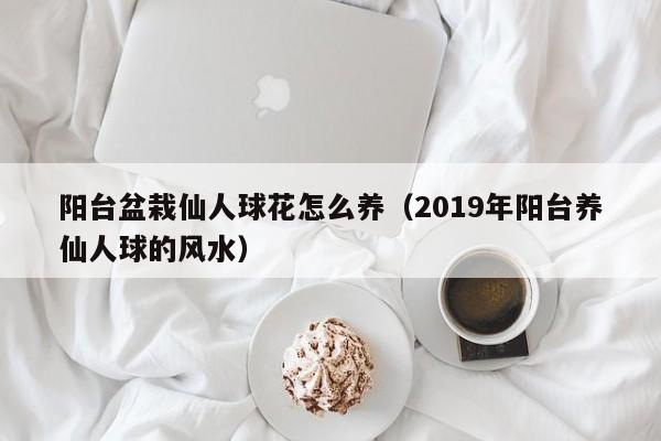 阳台盆栽仙人球花怎么养（2019年阳台养仙人球的风水）