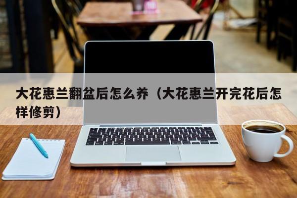 大花惠兰翻盆后怎么养（大花惠兰开完花后怎样修剪）