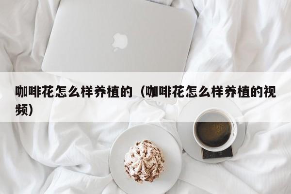 咖啡花怎么样养植的（咖啡花怎么样养植的视频）