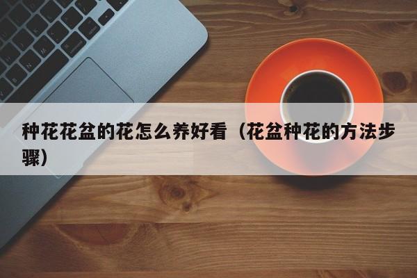 种花花盆的花怎么养好看（花盆种花的方法步骤）