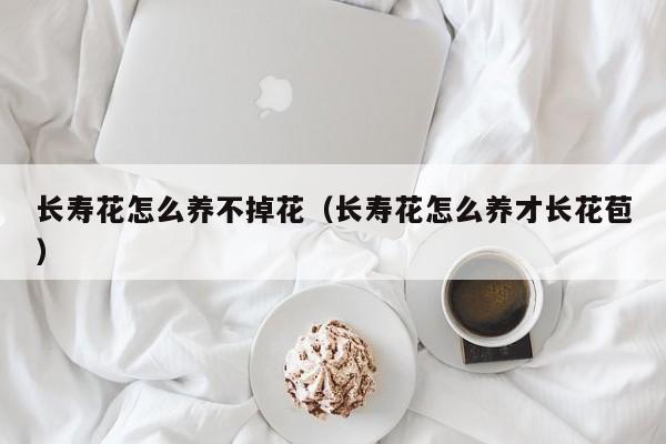 长寿花怎么养不掉花（长寿花怎么养才长花苞）