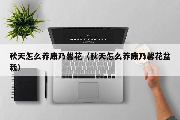 秋天怎么养康乃馨花（秋天怎么养康乃馨花盆栽）