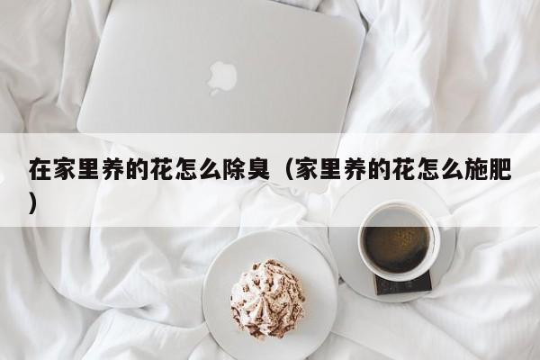 在家里养的花怎么除臭（家里养的花怎么施肥）