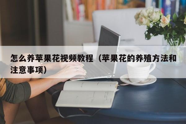 怎么养苹果花视频教程（苹果花的养殖方法和注意事项）