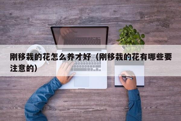 刚移栽的花怎么养才好（刚移栽的花有哪些要注意的）