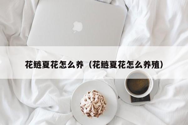 花鲢夏花怎么养（花鲢夏花怎么养殖）