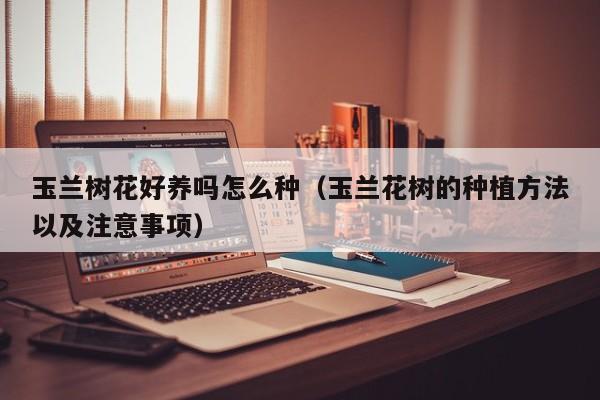 玉兰树花好养吗怎么种（玉兰花树的种植方法以及注意事项）