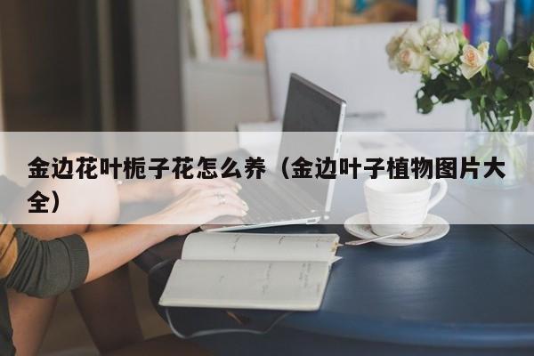 金边花叶栀子花怎么养（金边叶子植物图片大全）
