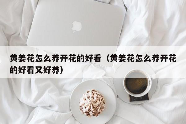 黄姜花怎么养开花的好看（黄姜花怎么养开花的好看又好养）