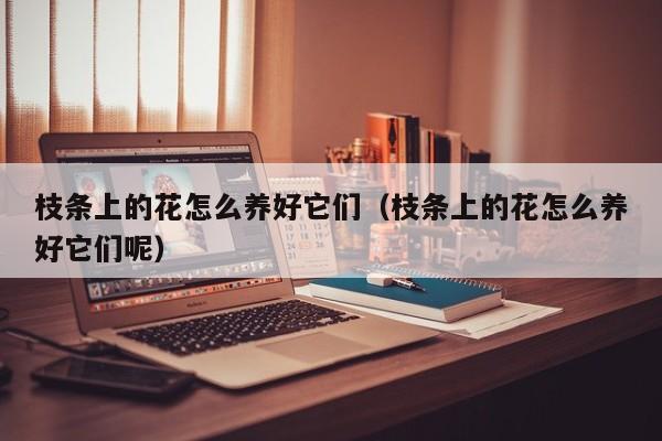 枝条上的花怎么养好它们（枝条上的花怎么养好它们呢）