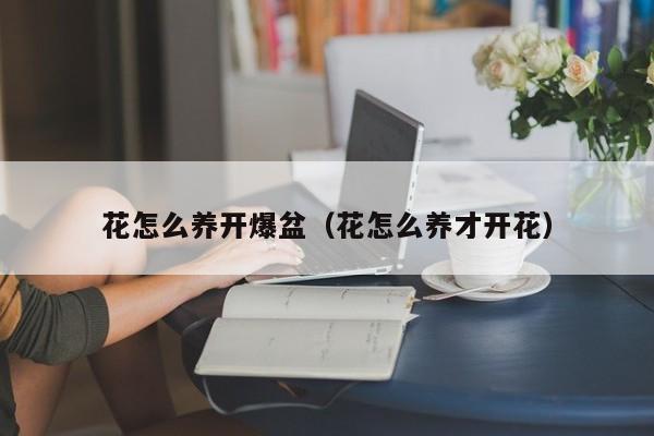 花怎么养开爆盆（花怎么养才开花）