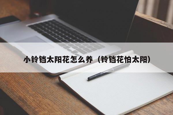小铃铛太阳花怎么养（铃铛花怕太阳）
