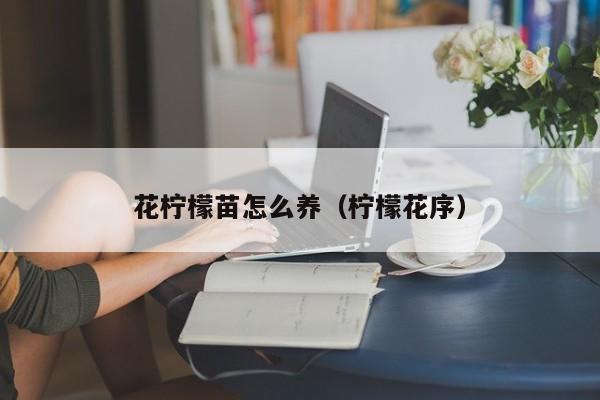 花柠檬苗怎么养（柠檬花序）