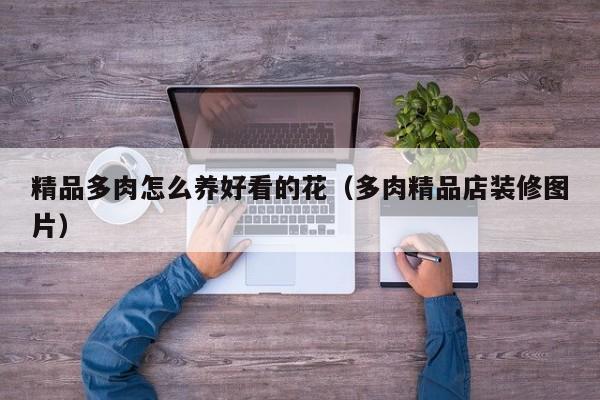 精品多肉怎么养好看的花（多肉精品店装修图片）