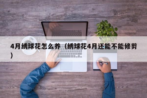 4月绣球花怎么养（绣球花4月还能不能修剪）