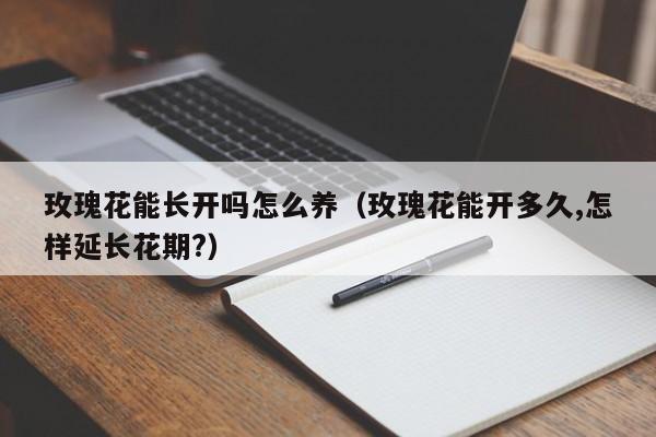 玫瑰花能长开吗怎么养（玫瑰花能开多久,怎样延长花期?）