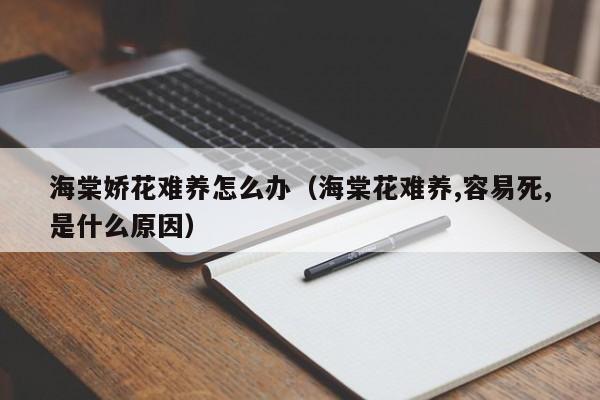 海棠娇花难养怎么办（海棠花难养,容易死,是什么原因）