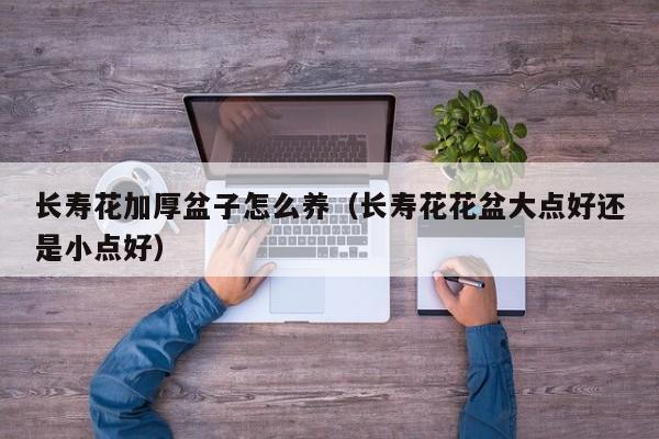 长寿花加厚盆子怎么养（长寿花花盆大点好还是小点好）