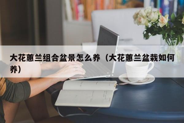 大花蕙兰组合盆景怎么养（大花蕙兰盆栽如何养）