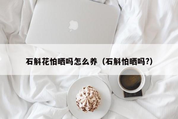 石斛花怕晒吗怎么养（石斛怕晒吗?）