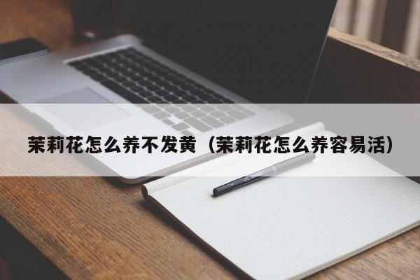 茉莉花怎么养不发黄（茉莉花怎么养容易活）