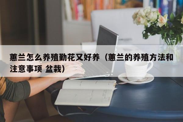 蕙兰怎么养殖勤花又好养（蕙兰的养殖方法和注意事项 盆栽）