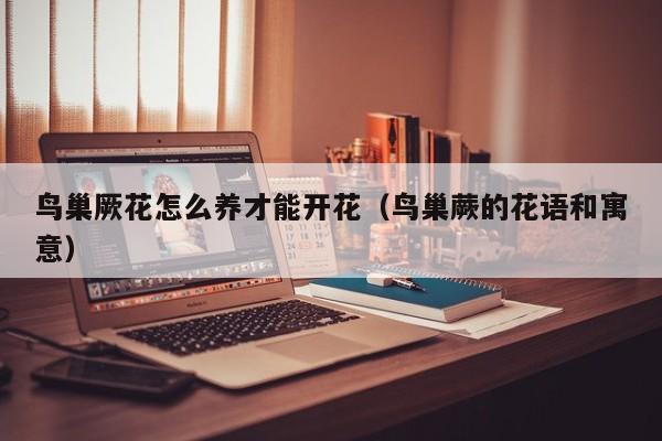 鸟巢厥花怎么养才能开花（鸟巢蕨的花语和寓意）
