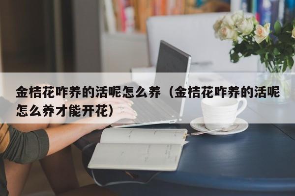 金桔花咋养的活呢怎么养（金桔花咋养的活呢怎么养才能开花）