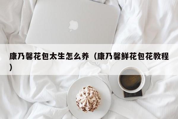 康乃馨花包太生怎么养（康乃馨鲜花包花教程）