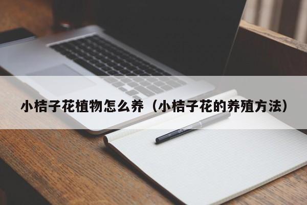 小桔子花植物怎么养（小桔子花的养殖方法）