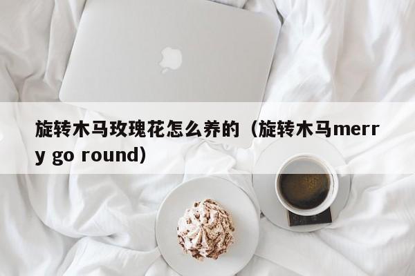 旋转木马玫瑰花怎么养的（旋转木马merry go round）