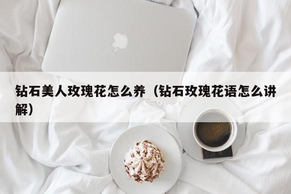 钻石美人玫瑰花怎么养（钻石玫瑰花语怎么讲解）