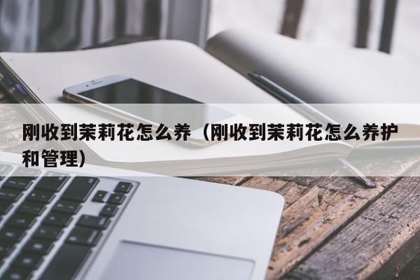 刚收到茉莉花怎么养（刚收到茉莉花怎么养护和管理）