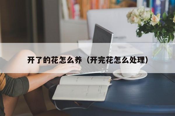 开了的花怎么养（开完花怎么处理）