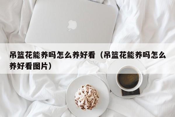 吊篮花能养吗怎么养好看（吊篮花能养吗怎么养好看图片）