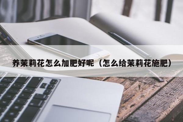 养茉莉花怎么加肥好呢（怎么给茉莉花施肥）