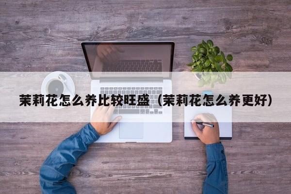 茉莉花怎么养比较旺盛（茉莉花怎么养更好）