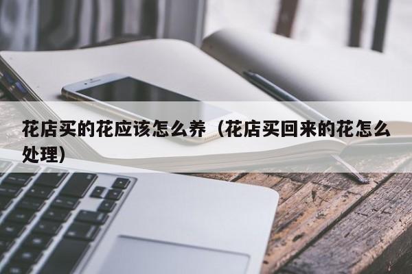 花店买的花应该怎么养（花店买回来的花怎么处理）