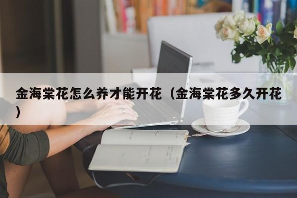金海棠花怎么养才能开花（金海棠花多久开花）