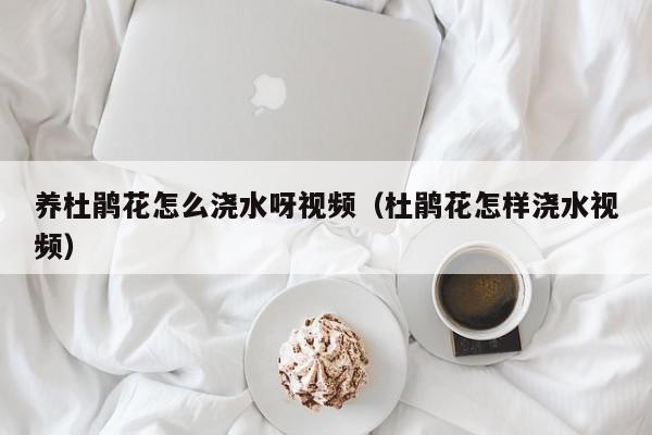 养杜鹃花怎么浇水呀视频（杜鹃花怎样浇水视频）