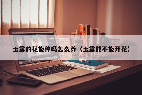 玉露的花能种吗怎么养（玉露能不能开花）