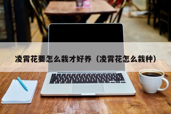 凌霄花要怎么栽才好养（凌霄花怎么栽种）