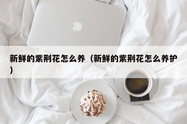 新鲜的紫荆花怎么养（新鲜的紫荆花怎么养护）