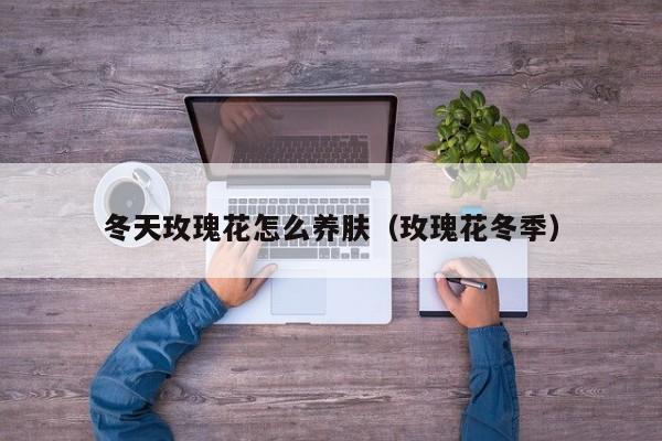冬天玫瑰花怎么养肤（玫瑰花冬季）