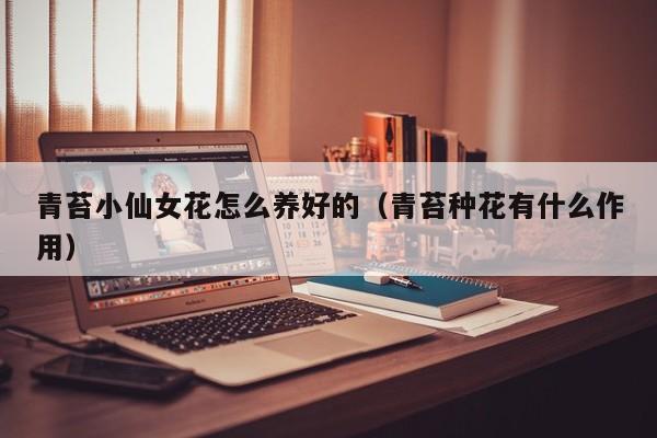青苔小仙女花怎么养好的（青苔种花有什么作用）