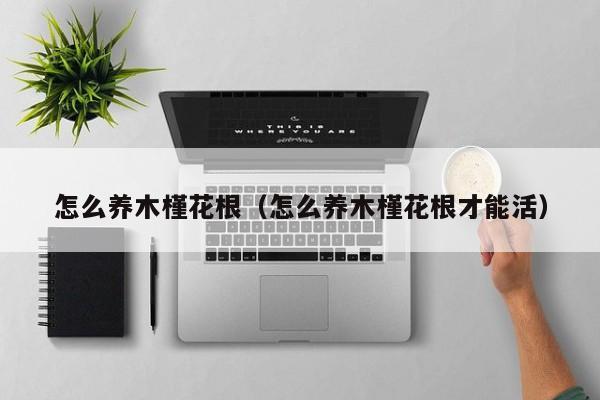 怎么养木槿花根（怎么养木槿花根才能活）