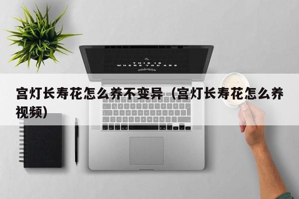宫灯长寿花怎么养不变异（宫灯长寿花怎么养视频）