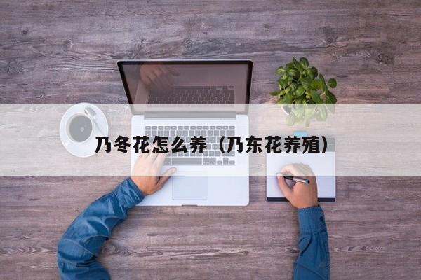 乃冬花怎么养（乃东花养殖）